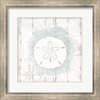 Calming Coastal Sand Dollar Fine Art Print