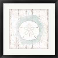 Calming Coastal Sand Dollar Framed Print