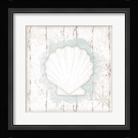 Calming Coastal Shell II Framed Print