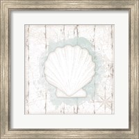Calming Coastal Shell II Fine Art Print