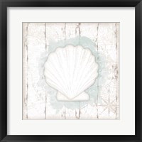 Calming Coastal Shell II Framed Print
