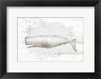 Calming Coastal Whale Fine Art Print