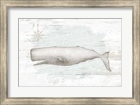 Calming Coastal Whale Fine Art Print