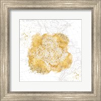 Golden Coral Fine Art Print