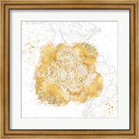 Golden Coral Fine Art Print