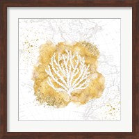 Golden Coral II Fine Art Print