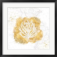 Golden Coral II Fine Art Print