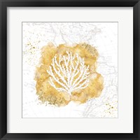Golden Coral II Framed Print