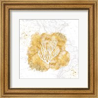 Golden Coral III Fine Art Print