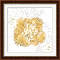 Golden Coral III Fine Art Print