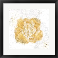 Golden Coral III Framed Print