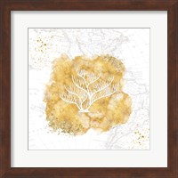 Golden Coral IV Fine Art Print