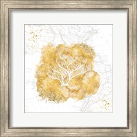 Golden Coral IV Fine Art Print