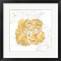 Golden Coral IV Framed Print