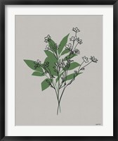Line Botanical I Fine Art Print