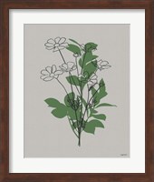 Line Botanical II Fine Art Print