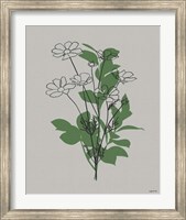 Line Botanical II Fine Art Print