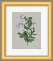 Line Botanical II Fine Art Print