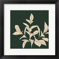 Green Botanical Fine Art Print