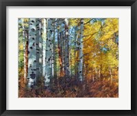 Autumn Aspens Fine Art Print
