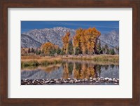 Teton Autumn Fine Art Print