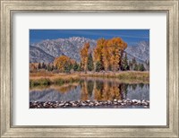 Teton Autumn Fine Art Print