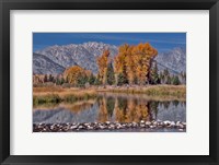 Teton Autumn Fine Art Print