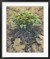 Desert Bouquet Fine Art Print