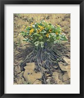 Desert Bouquet Fine Art Print