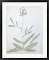 Flower on White Fine Art Print