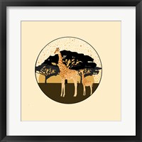 Giraffes Framed Print