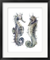 Seahorse Pair Fine Art Print