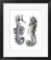Seahorse Pair Fine Art Print