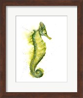 Seahorse III Fine Art Print