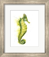 Seahorse III Fine Art Print