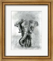 Elephant Joy BW Fine Art Print