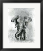 Elephant Joy BW Fine Art Print