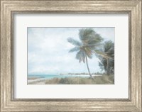 Palm Harbor Fine Art Print