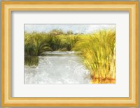 Marshy Wetlands No. 2 Fine Art Print