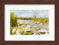 Marshy Wetlands No 4 Fine Art Print