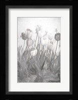 Tulips I Framed Print