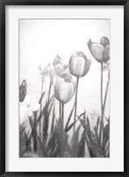 Tulips IV Fine Art Print