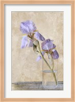 Blue Iris Stem Fine Art Print