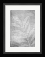 Leafy Parts No. 1 Fine Art Print