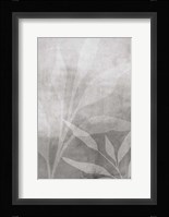 Leafy Parts No. 2 Fine Art Print