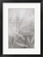 Leafy Parts No. 2 Framed Print