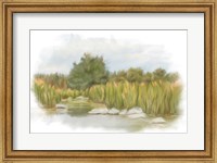 Marshy Wetlands I Fine Art Print