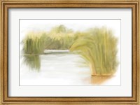 Marshy Wetlands II Fine Art Print