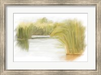 Marshy Wetlands II Fine Art Print