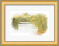 Marshy Wetlands II Fine Art Print